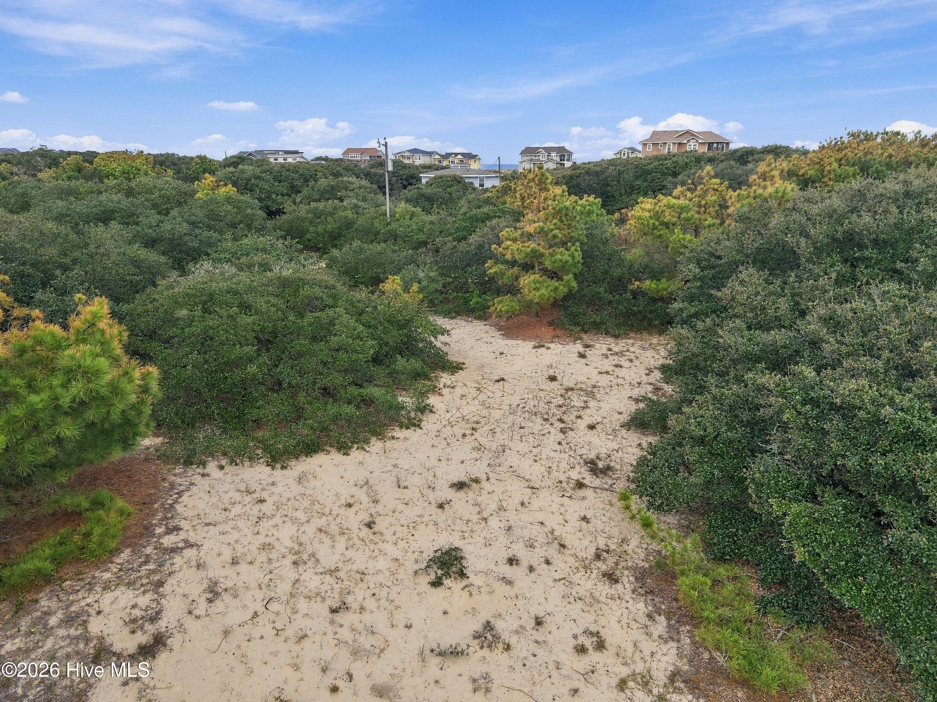 Sandy clearing amid coastal scrub and pines, with neighboring houses visible in the distance.