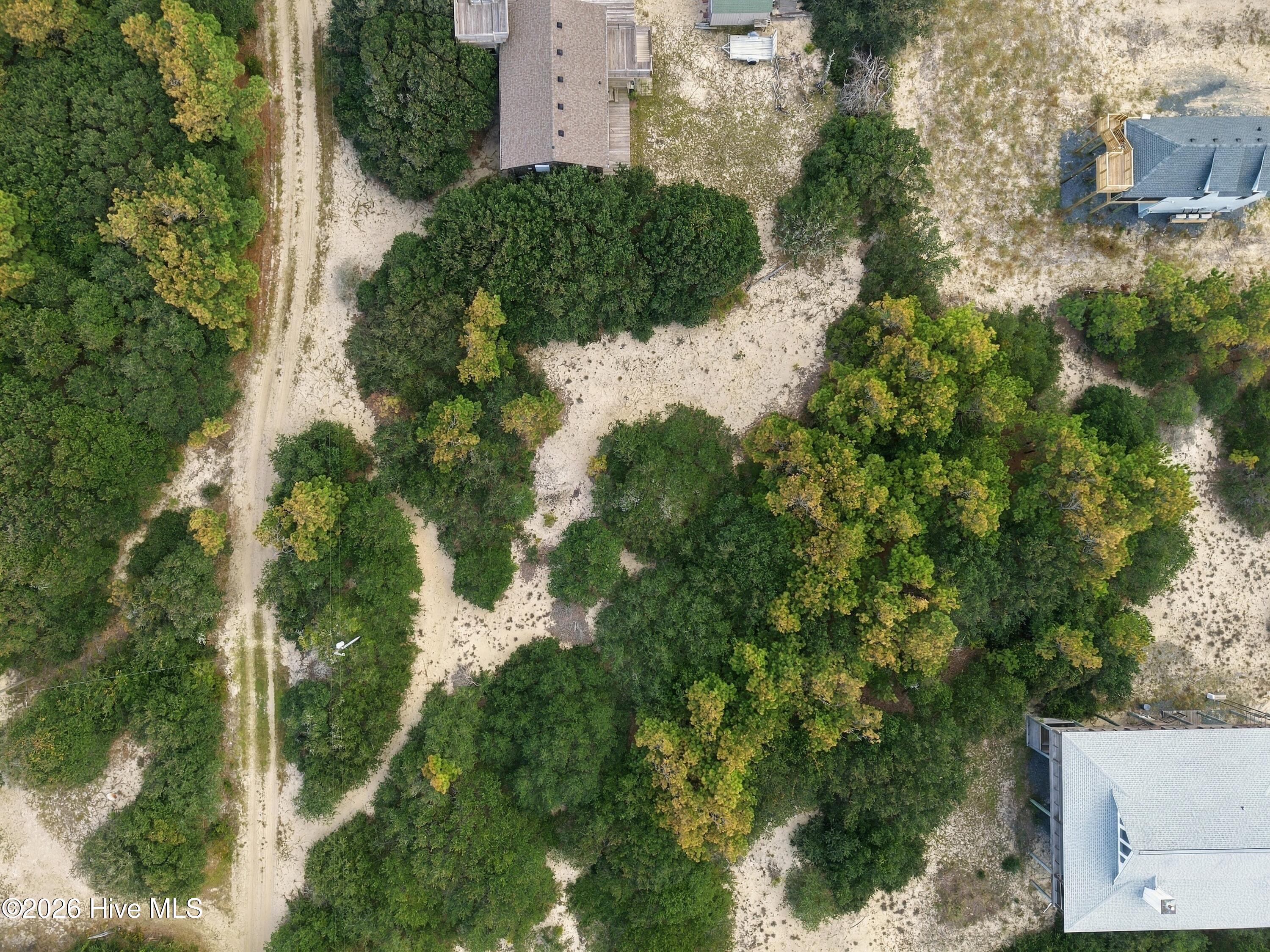Aerial view of a sandy, wooded lot beside a dirt road, with neighboring houses at the edges.