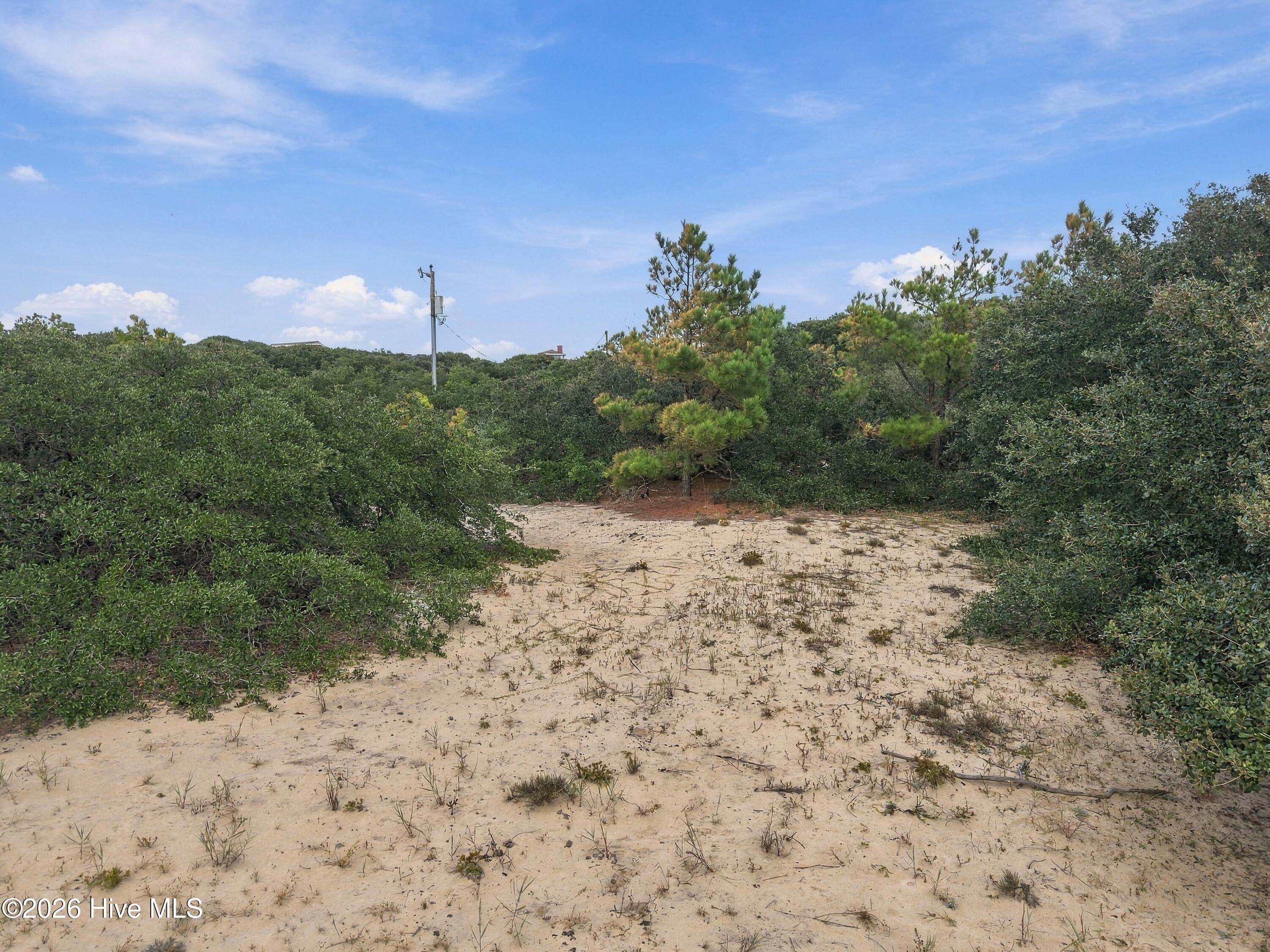 Sandy clearing on a wooded lot, bordered by coastal shrubs and pine trees.