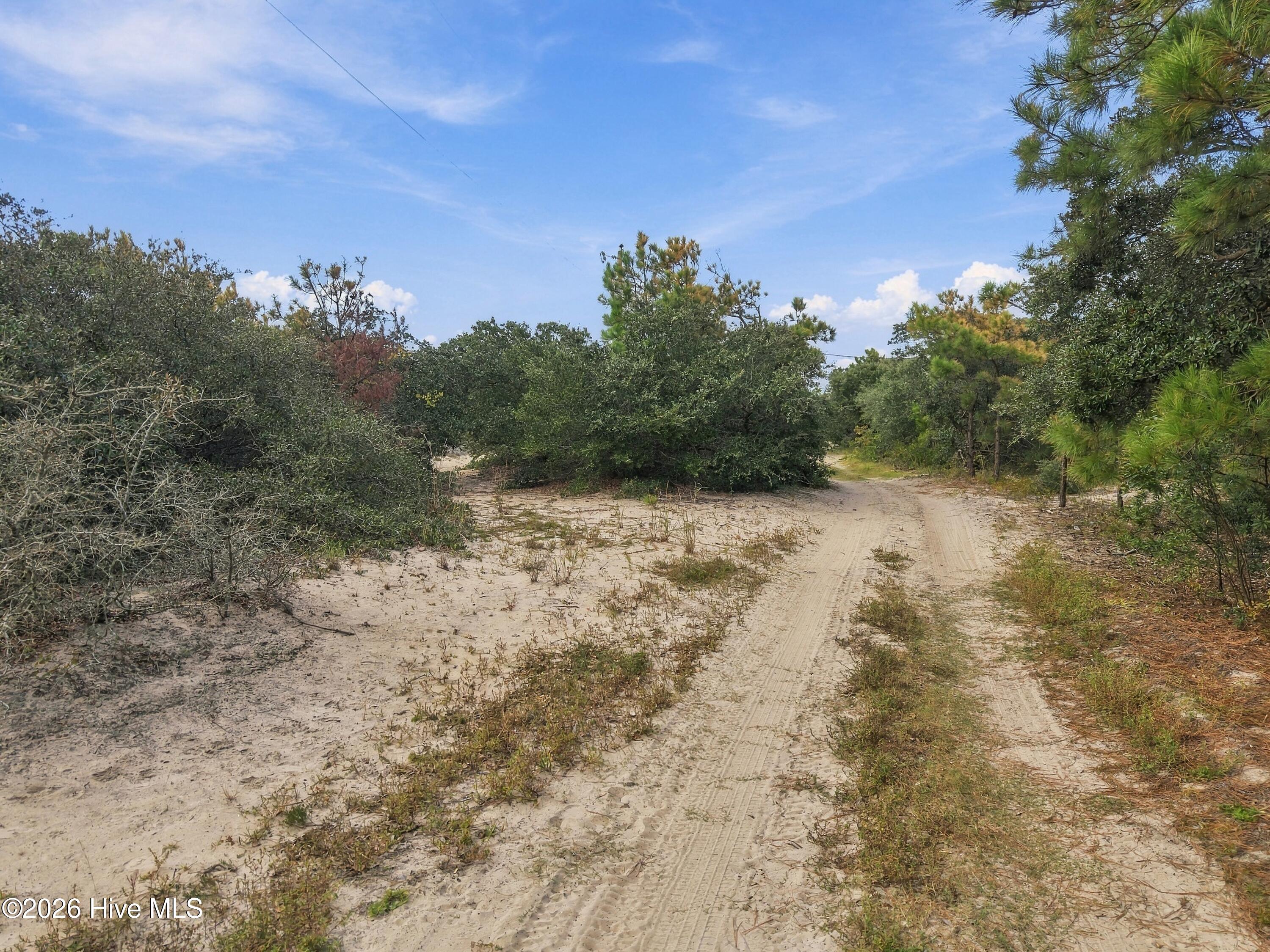 Sandy track through a wooded parcel with coastal vegetation and pine trees.