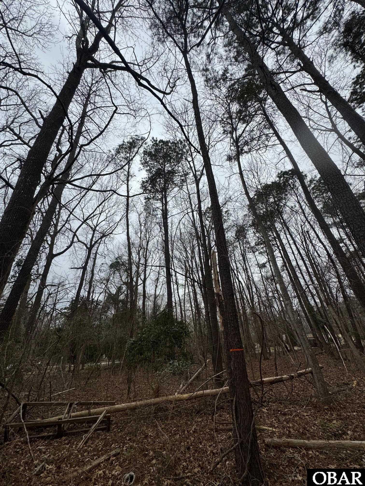 144 Hemlock Street Lot 98