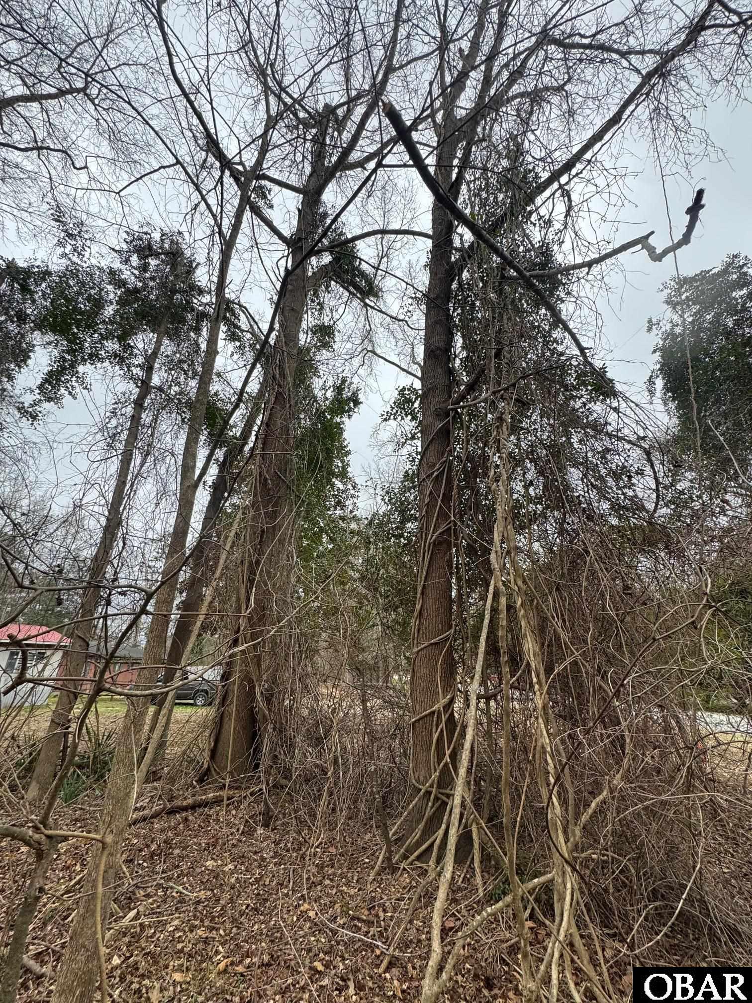 144 Hemlock Street Lot 98