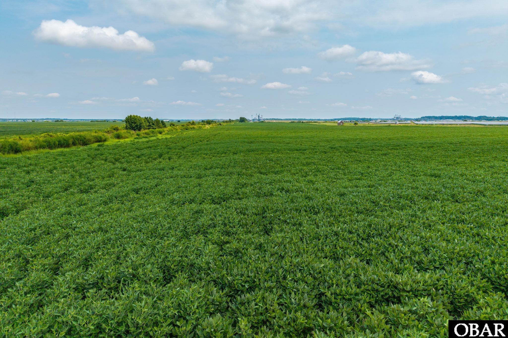Flat green field stretches to a distant tree line beneath a partly cloudy sky.