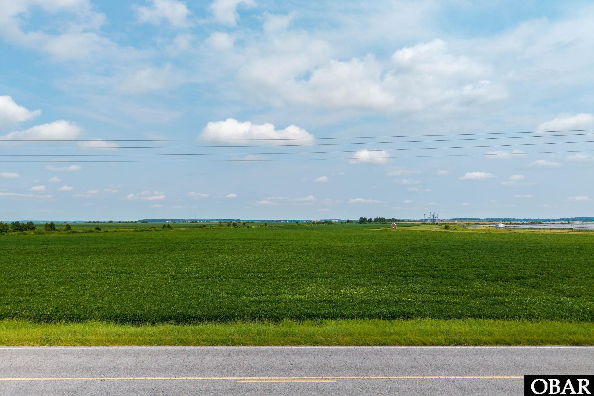 Flat green land beside a paved road, with utility lines and distant farm structures.