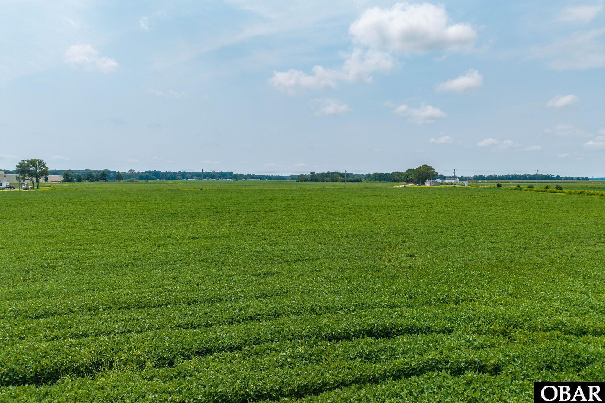 Expansive green field with small buildings and utility poles along the distant horizon.