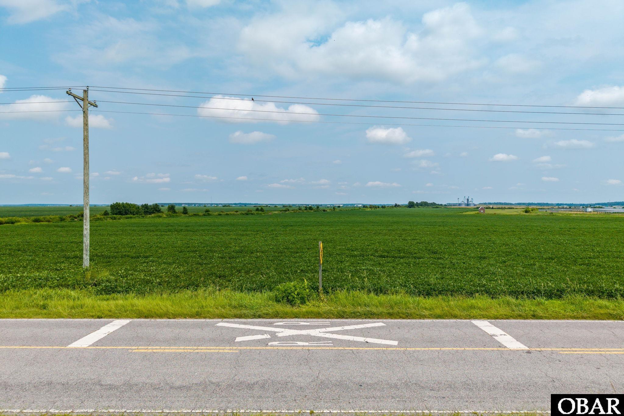 Open green field beside a paved road, with a utility pole and distant farm structures.