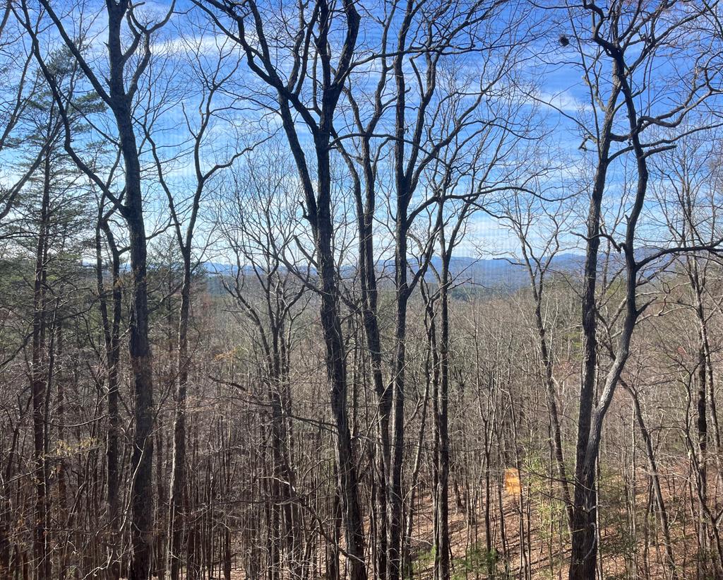 324 Walnut Mountain Rd