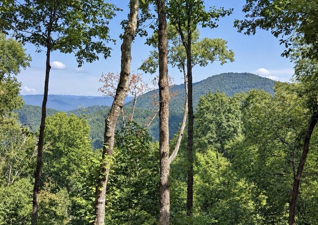 778 Walnut Mountain Road