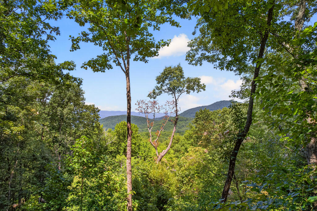778 Walnut Mountain Road