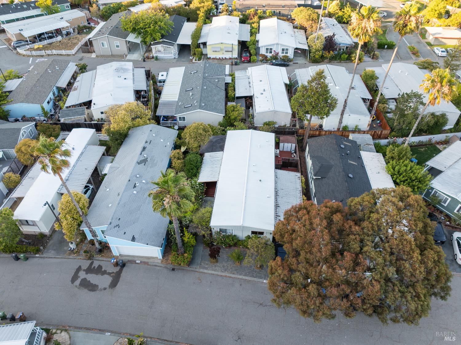 275 Carlsbad Court
