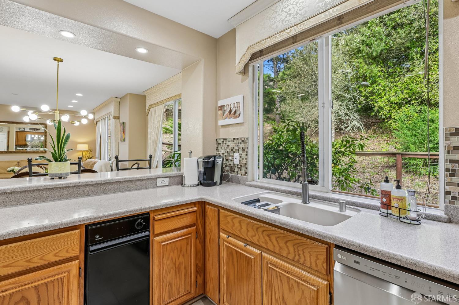 356 View Point Court