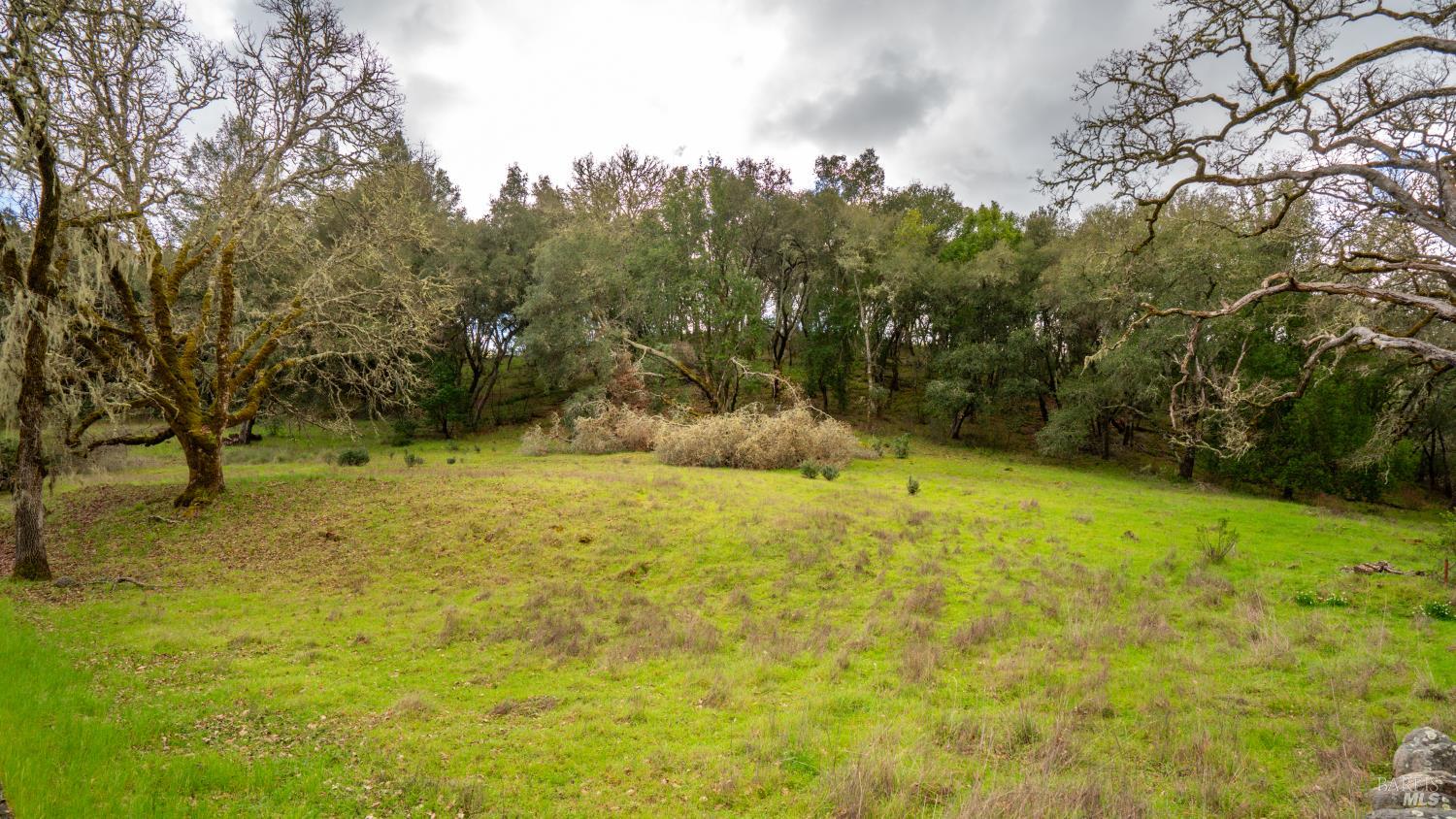 812 Leslie Creek Ln