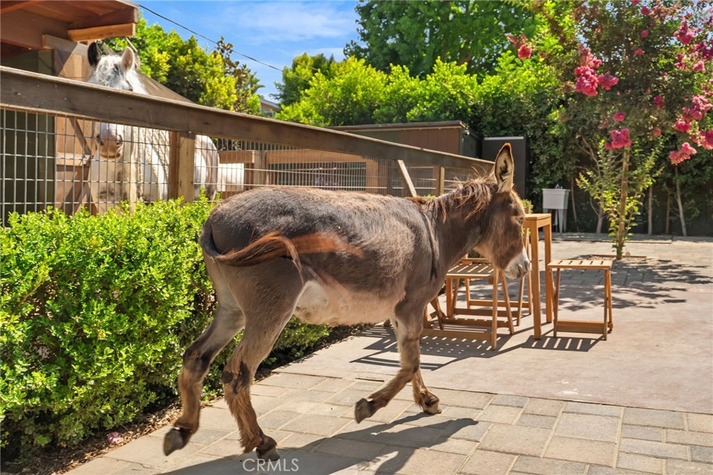 1321 W Morningside Drive