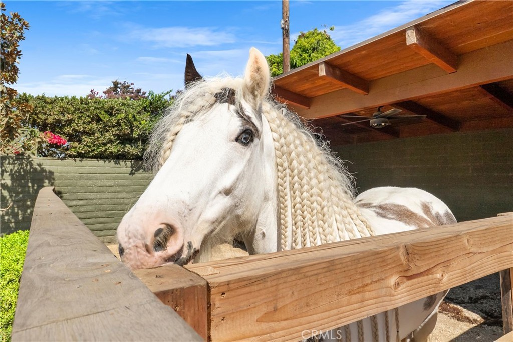 1321 W Morningside Drive