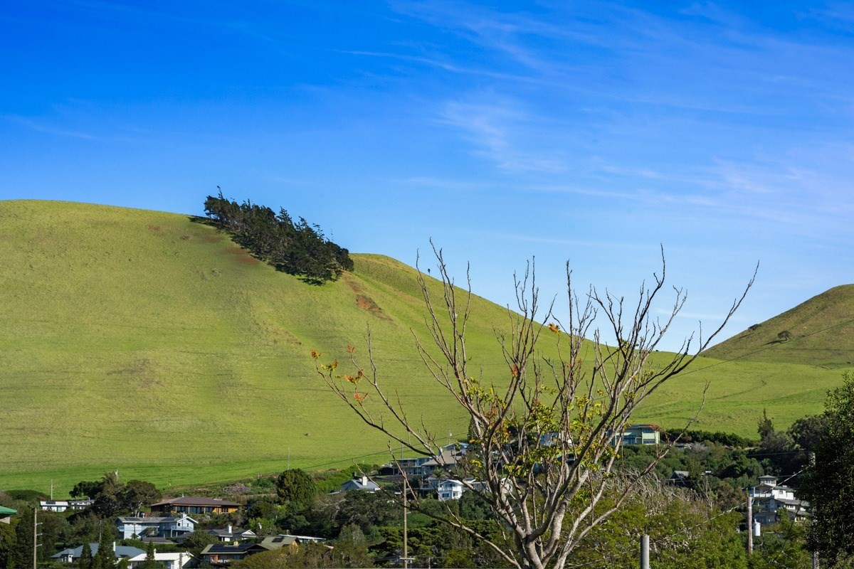 65-1186 KAHAIKUPUNA RD
