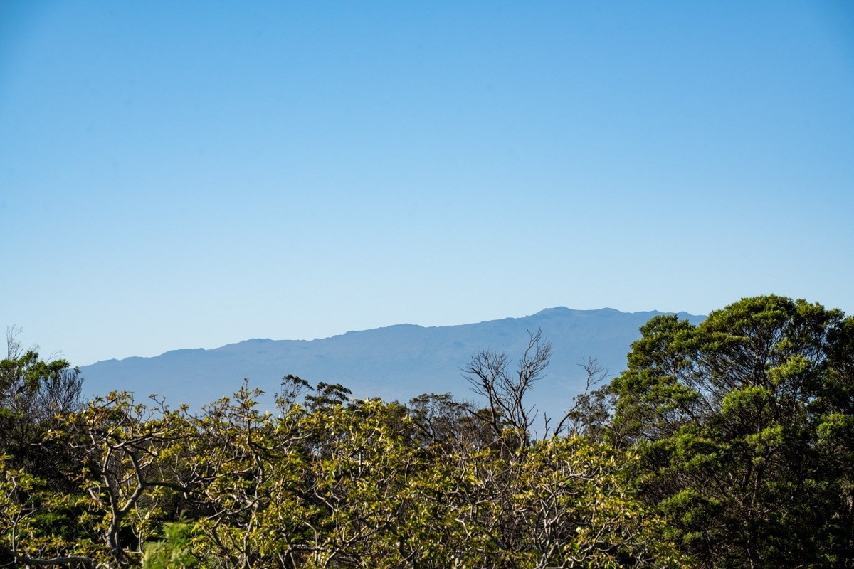 65-1186 KAHAIKUPUNA RD