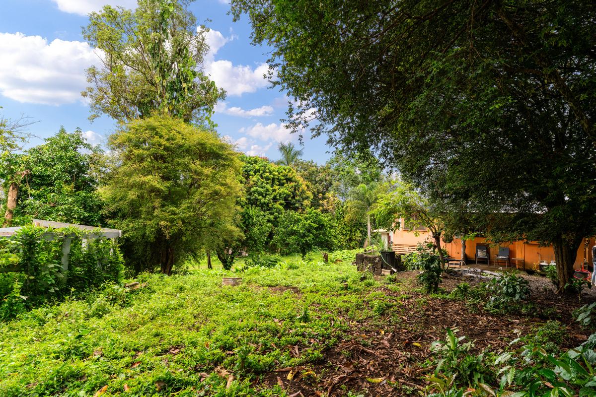 82-2017 OMEO RD