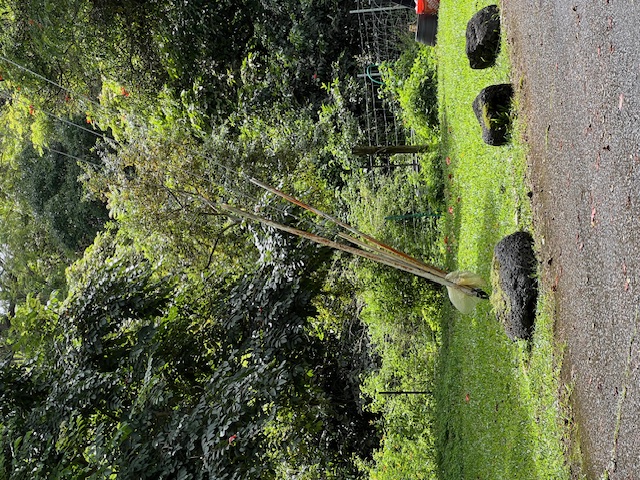 KALOKO DR