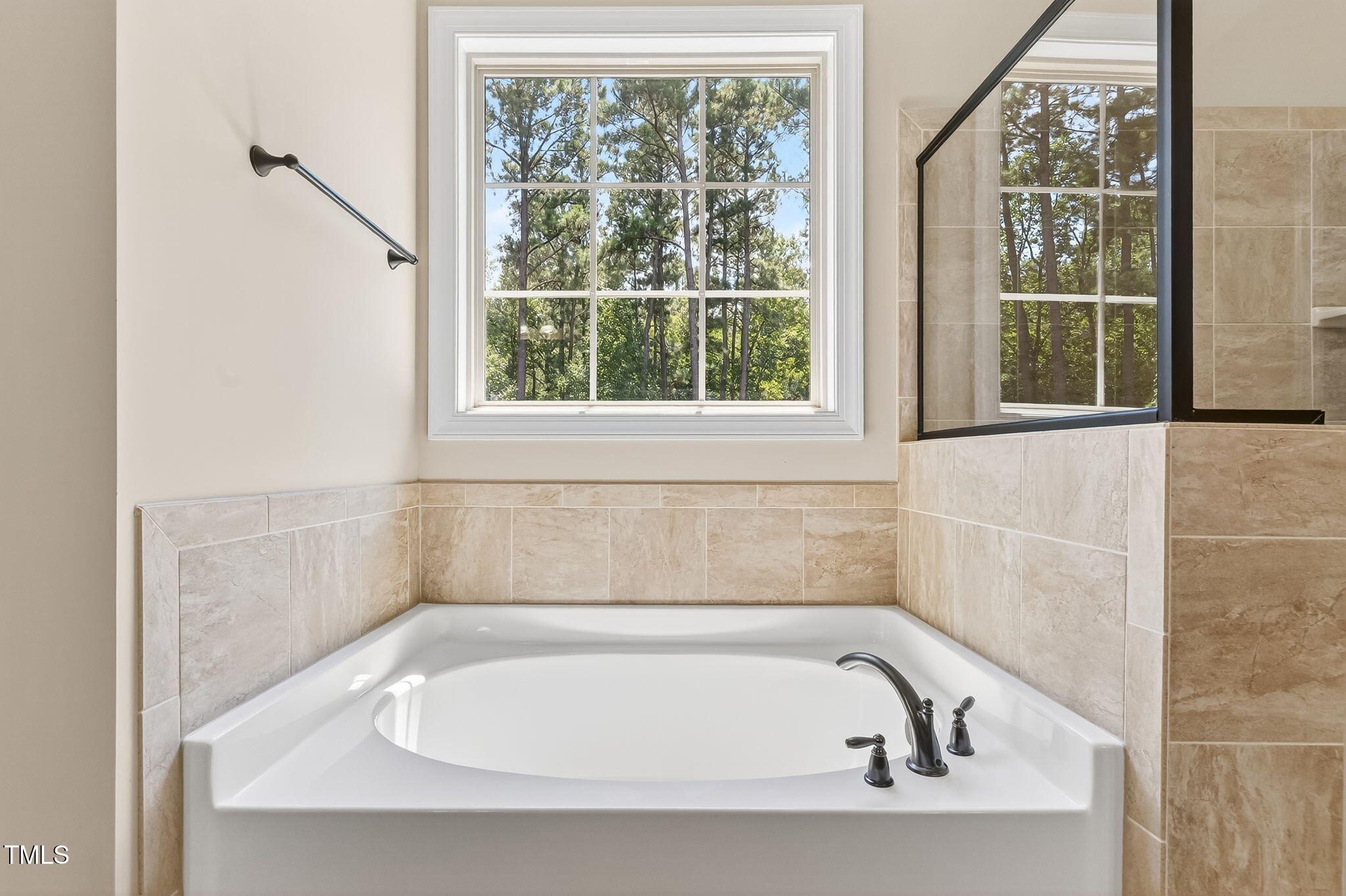 206 Running Springs Court