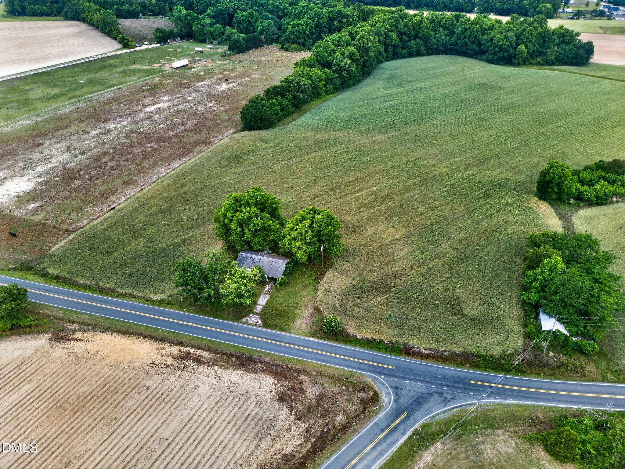 1651 Live Oak Road