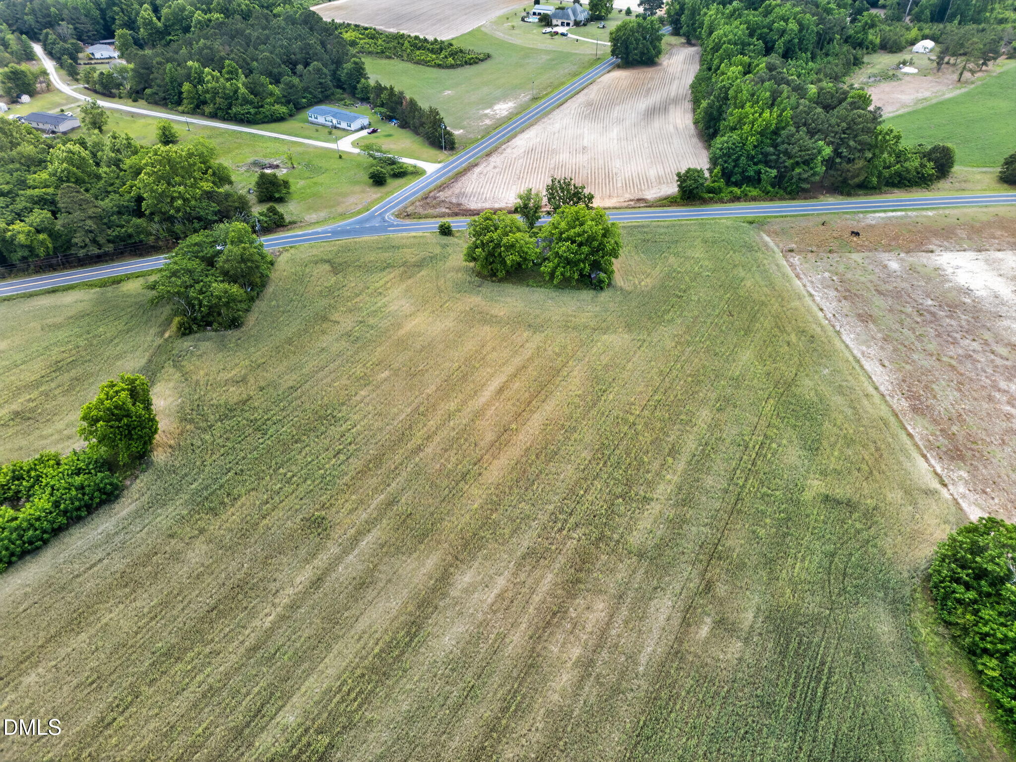 1651 Live Oak Road