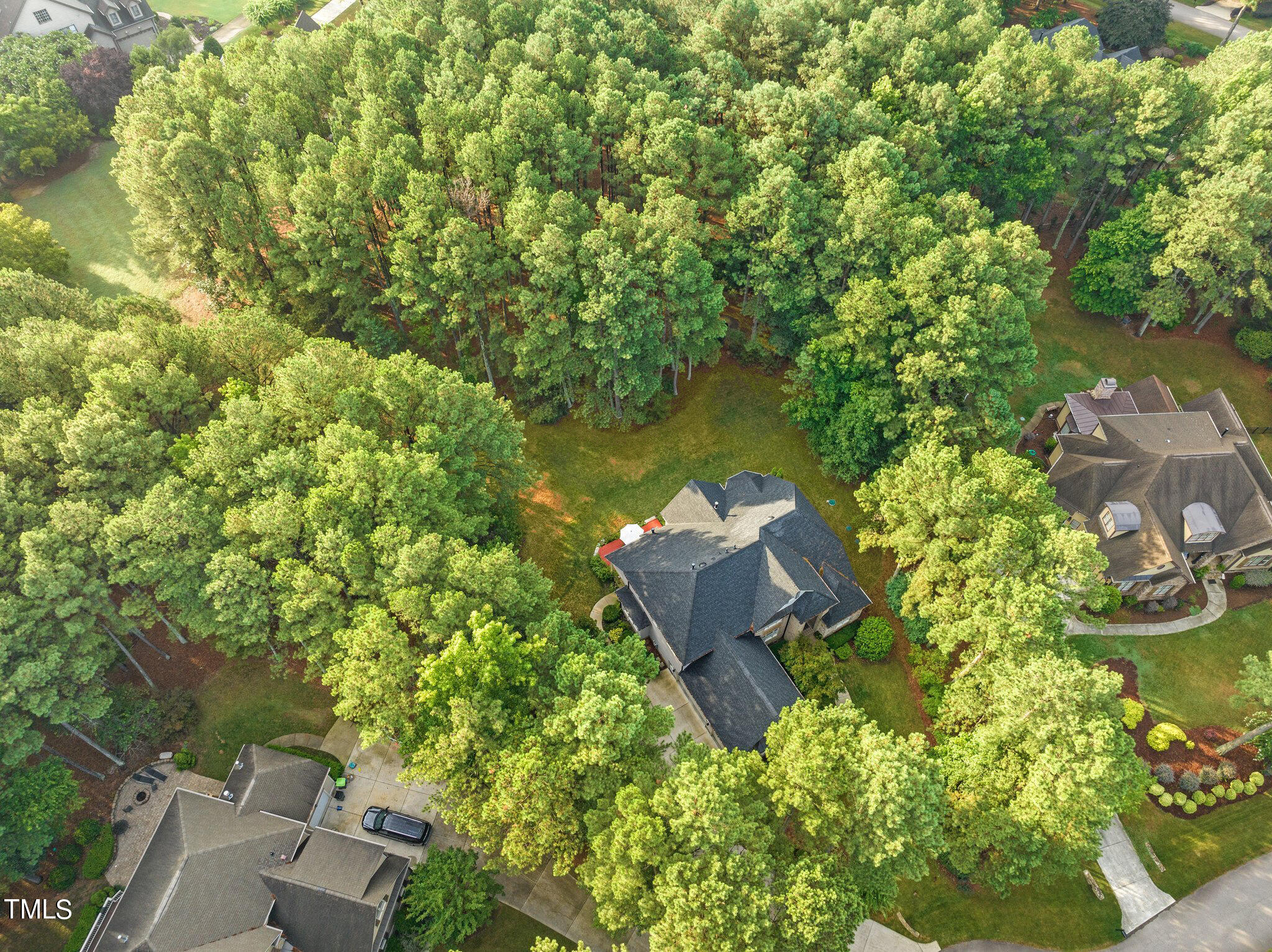 1005 Blykeford Lane