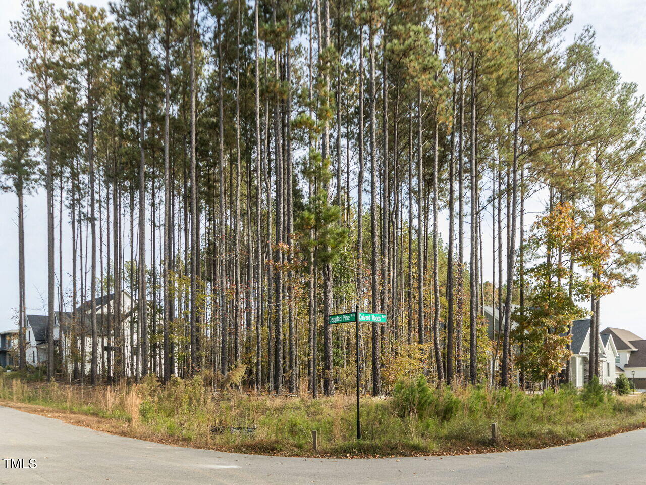 422 Colvard Woods Way