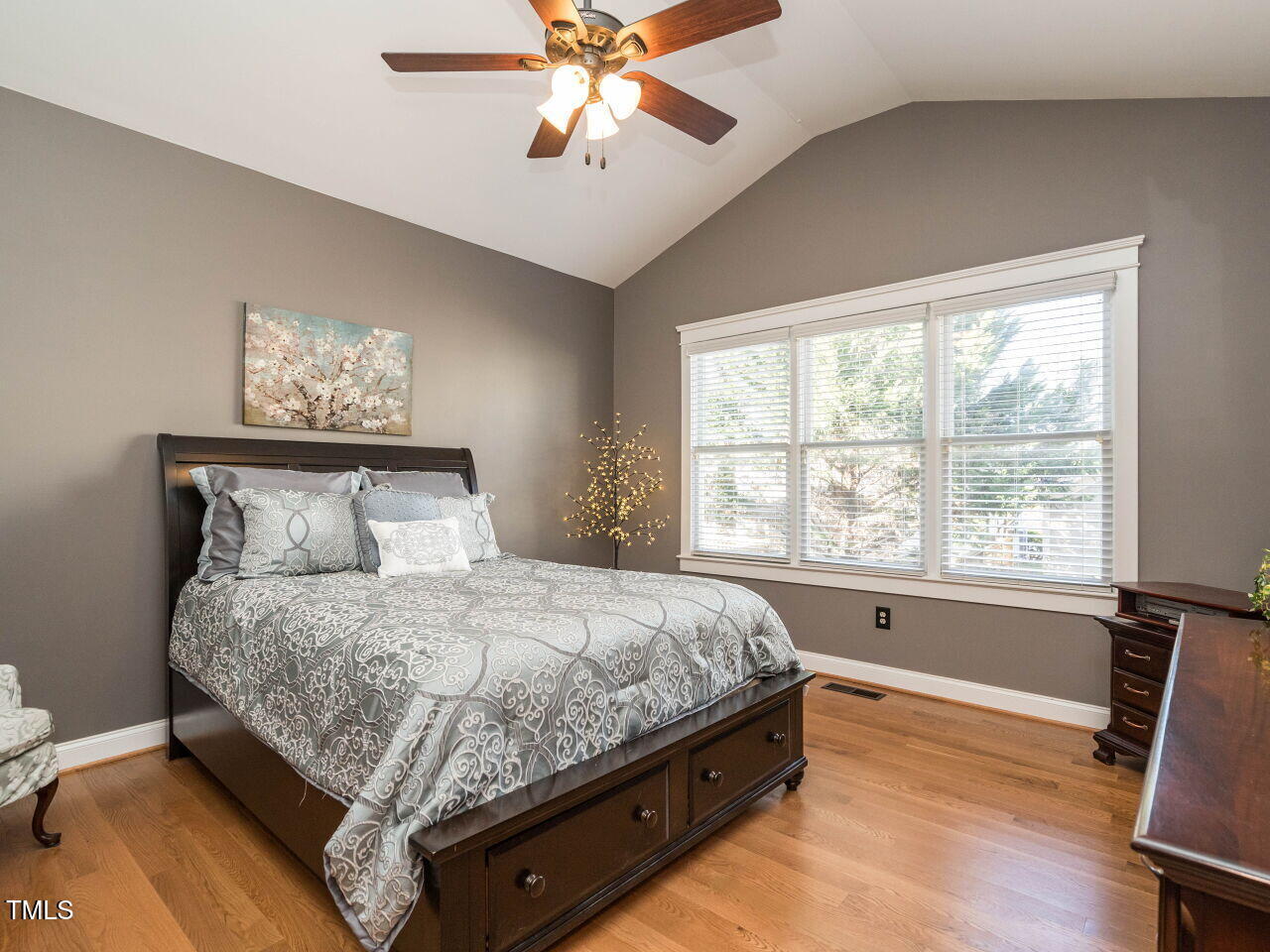 114 Naperville Drive