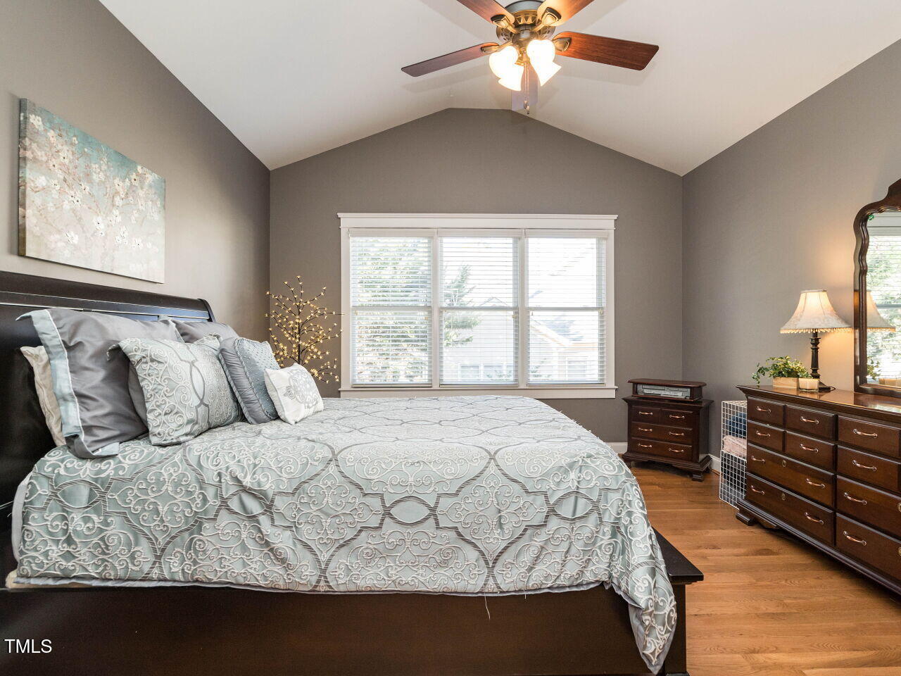 114 Naperville Drive