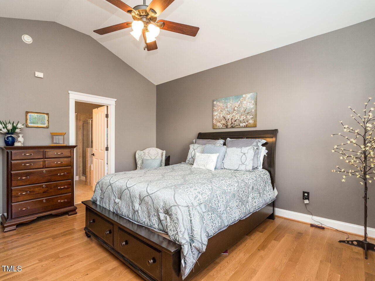 114 Naperville Drive