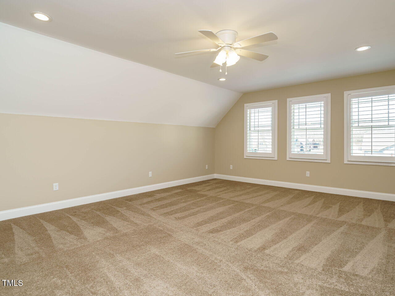 116 Telluride Trail