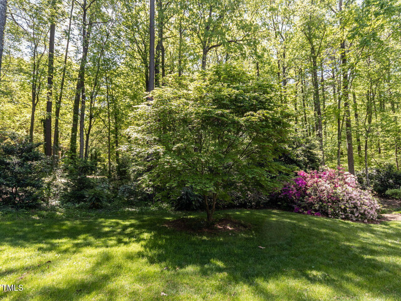 315 King George Loop