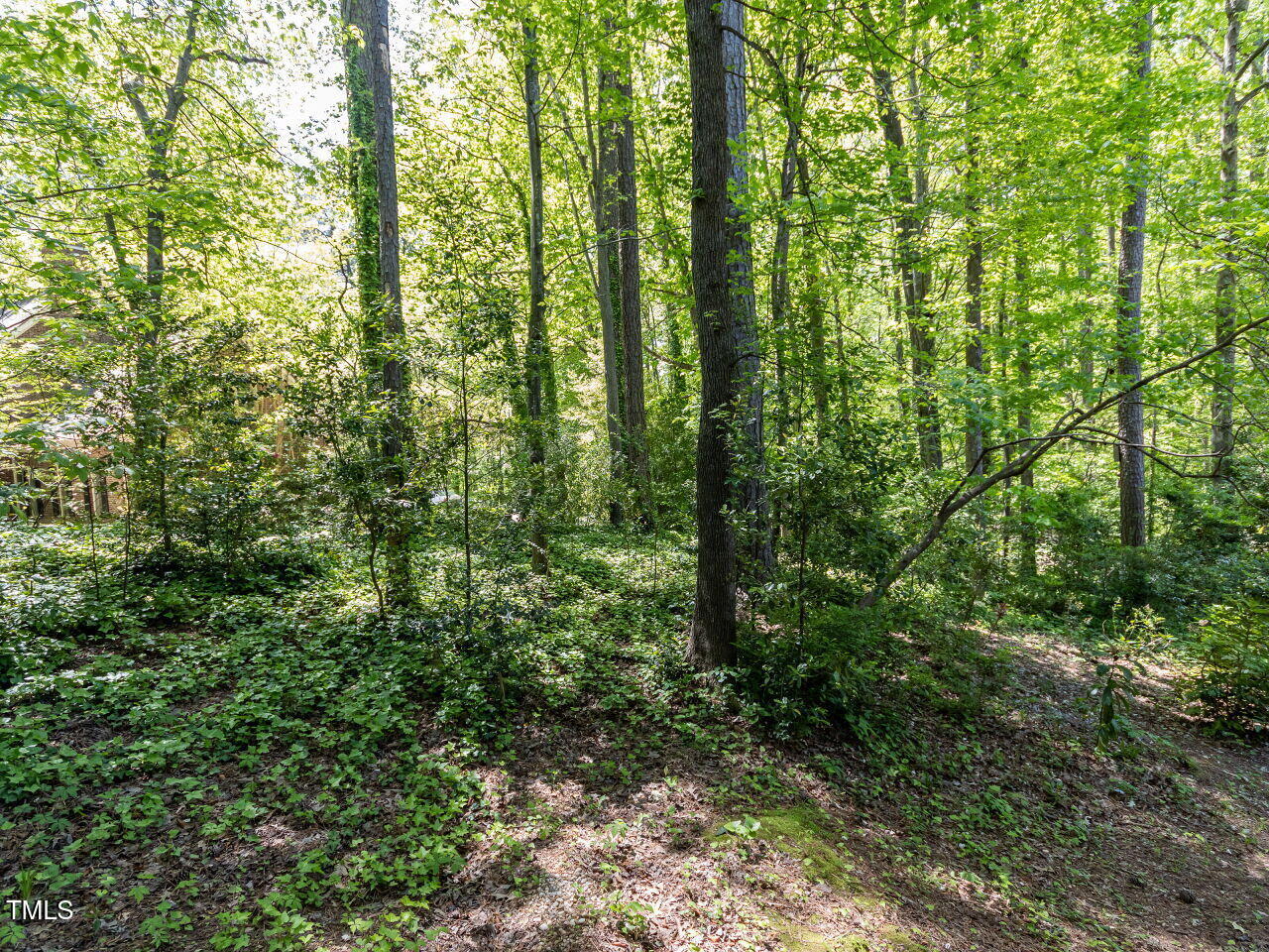 315 King George Loop