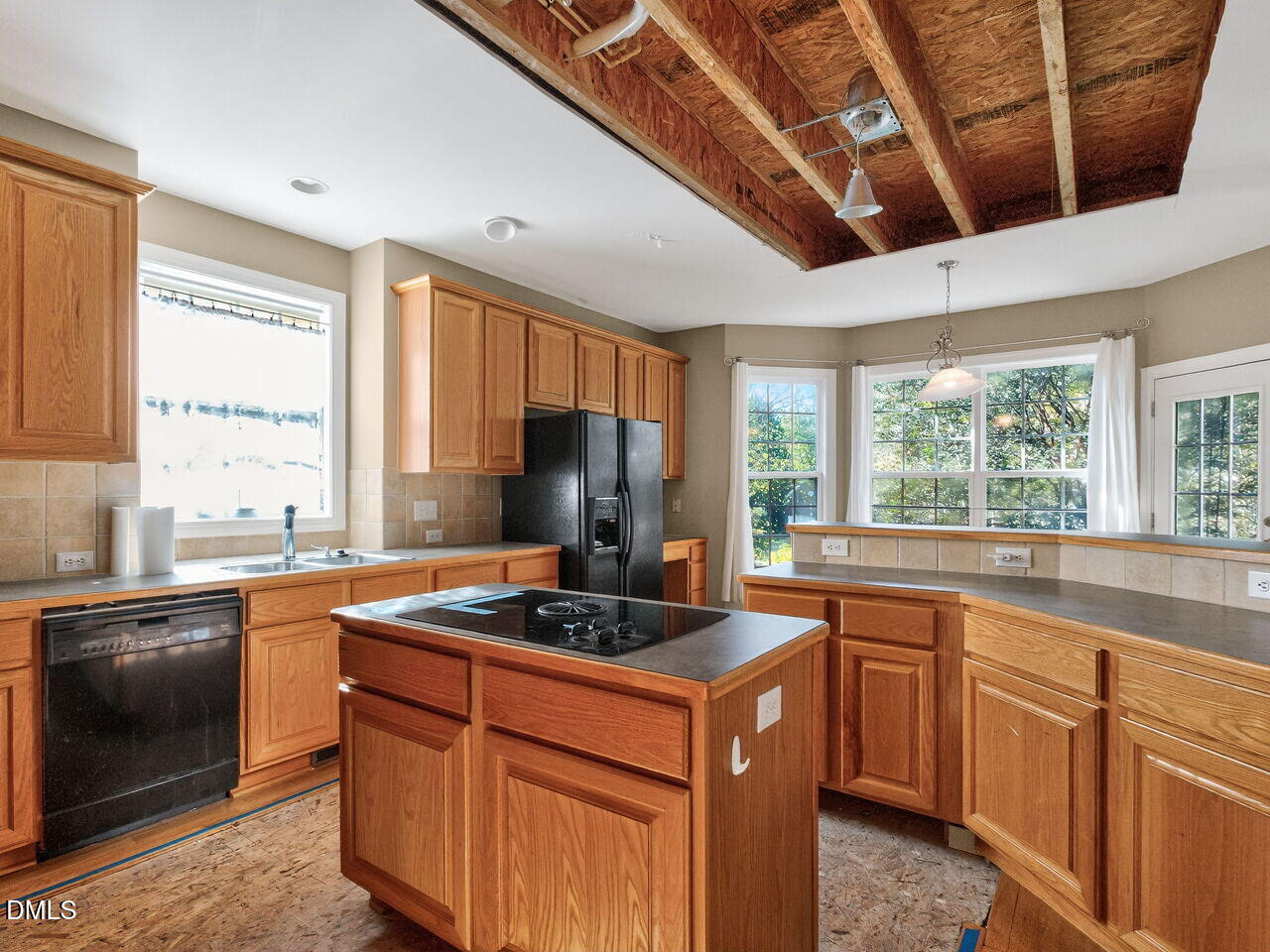 101 Fringe Tree Court, Cary