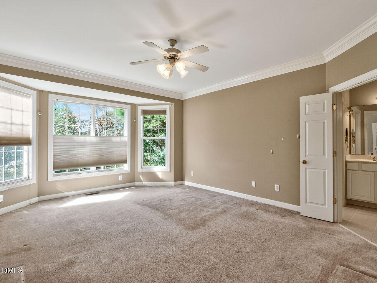 101 Fringe Tree Court, Cary