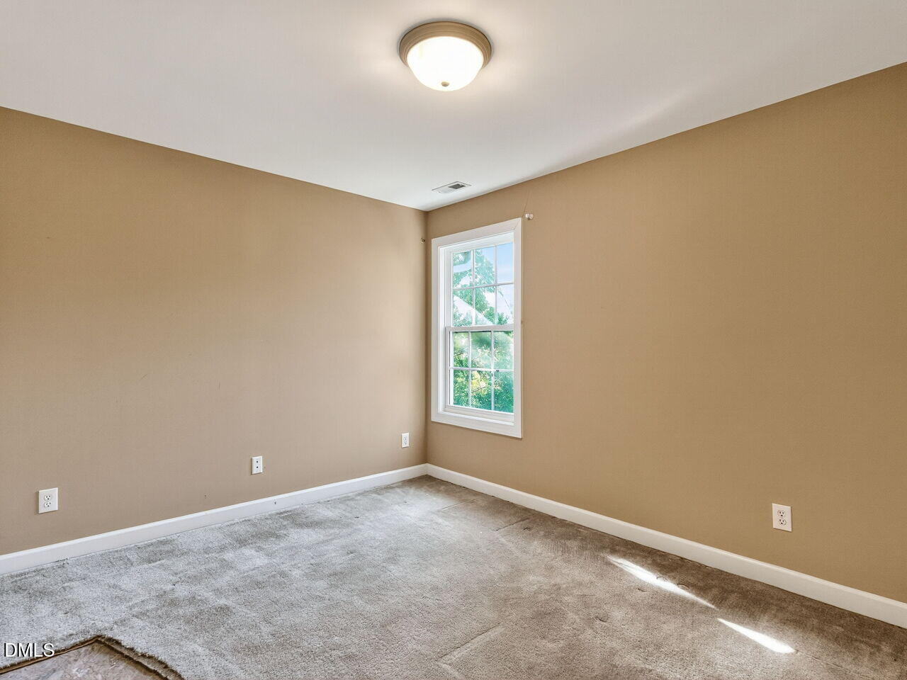 101 Fringe Tree Court, Cary