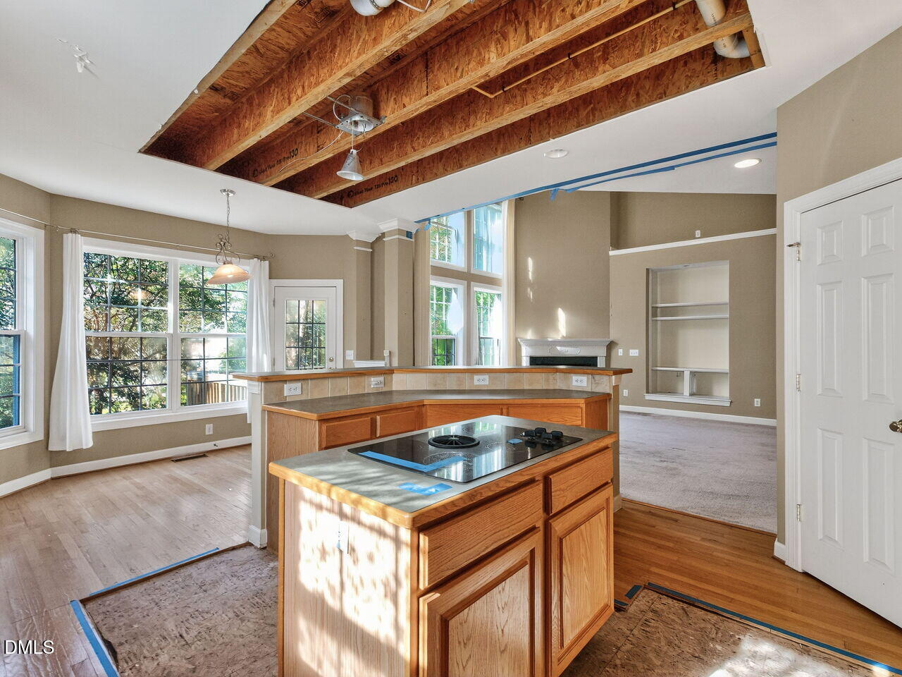 101 Fringe Tree Court, Cary