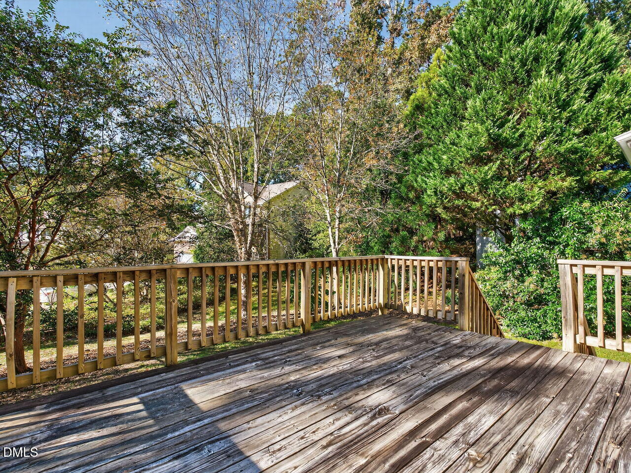 101 Fringe Tree Court, Cary