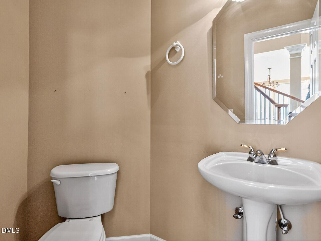 101 Fringe Tree Court, Cary