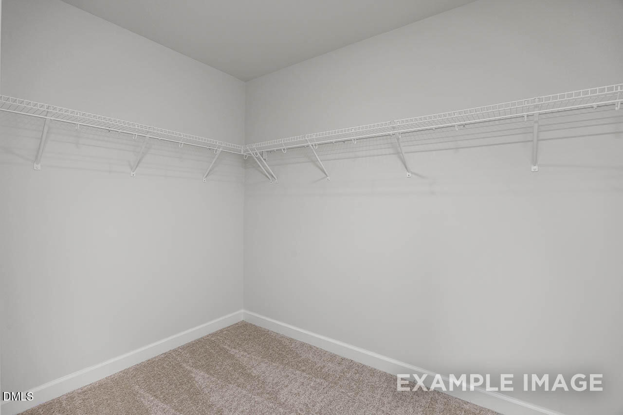 3805 Well Fleet Drive