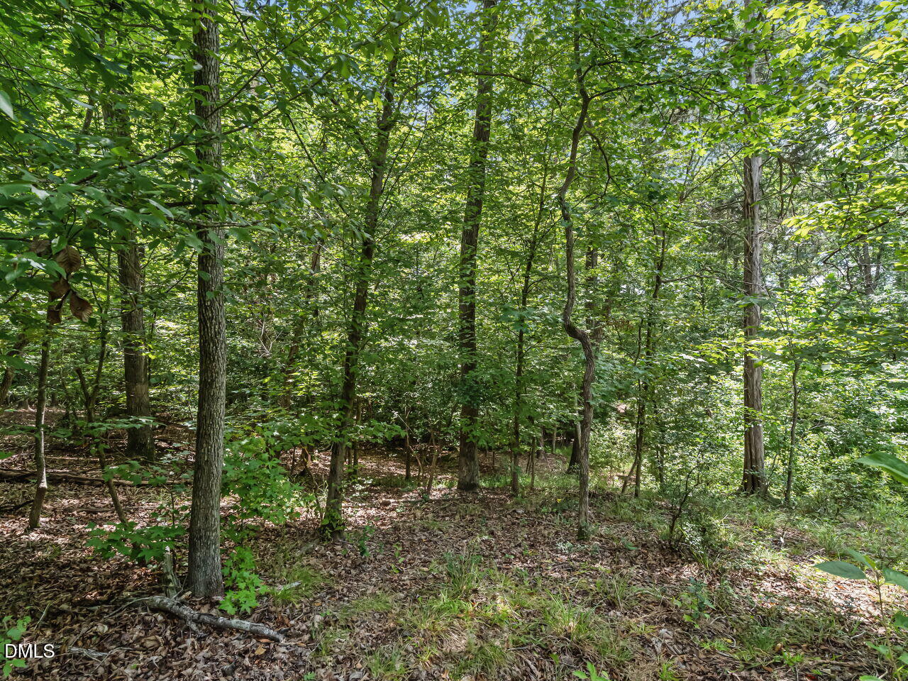 979 Natchez Trace Trace