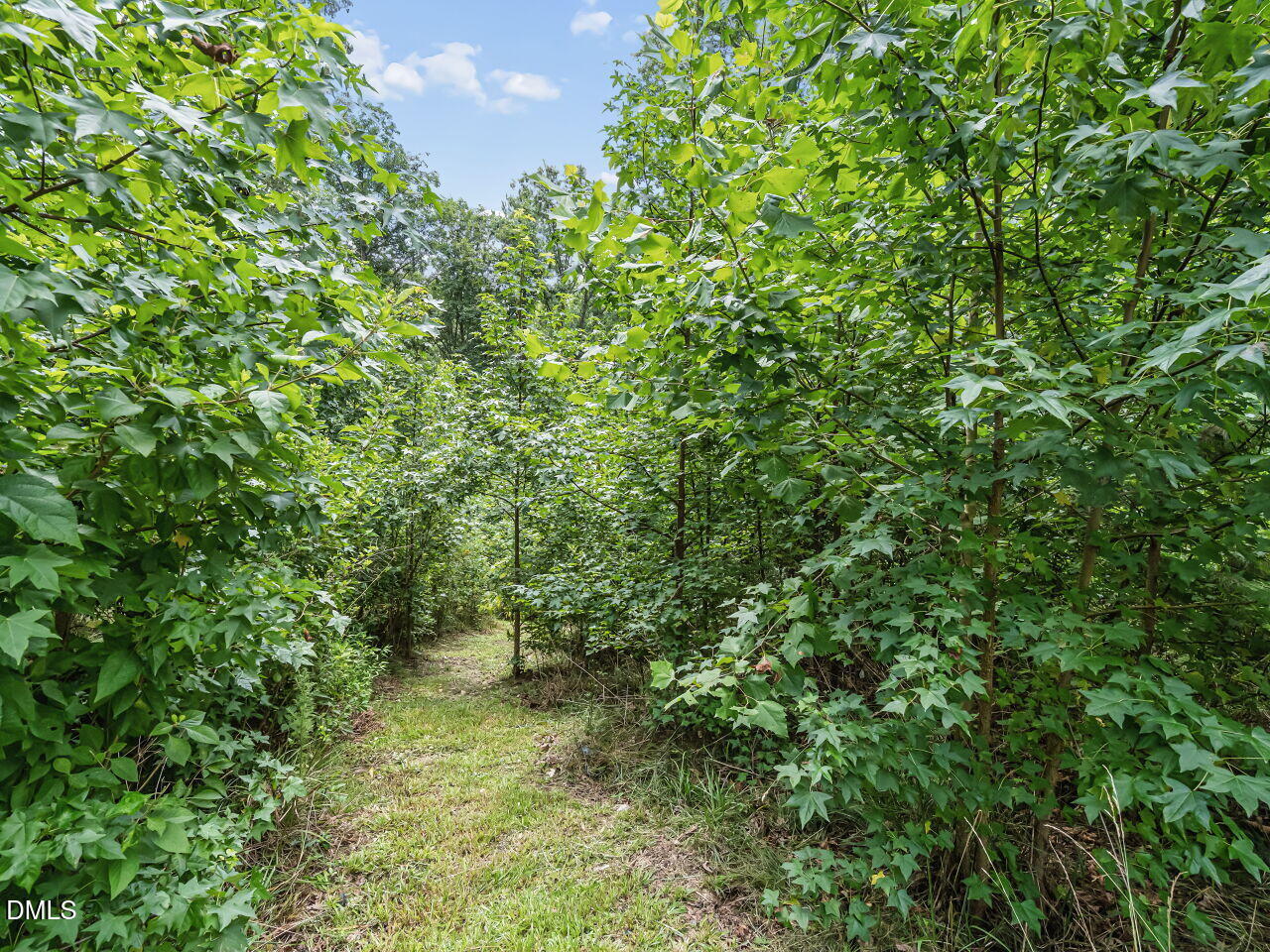979 Natchez Trace Trace