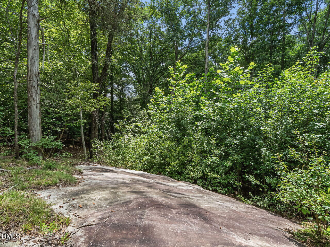 979 Natchez Trace Trace