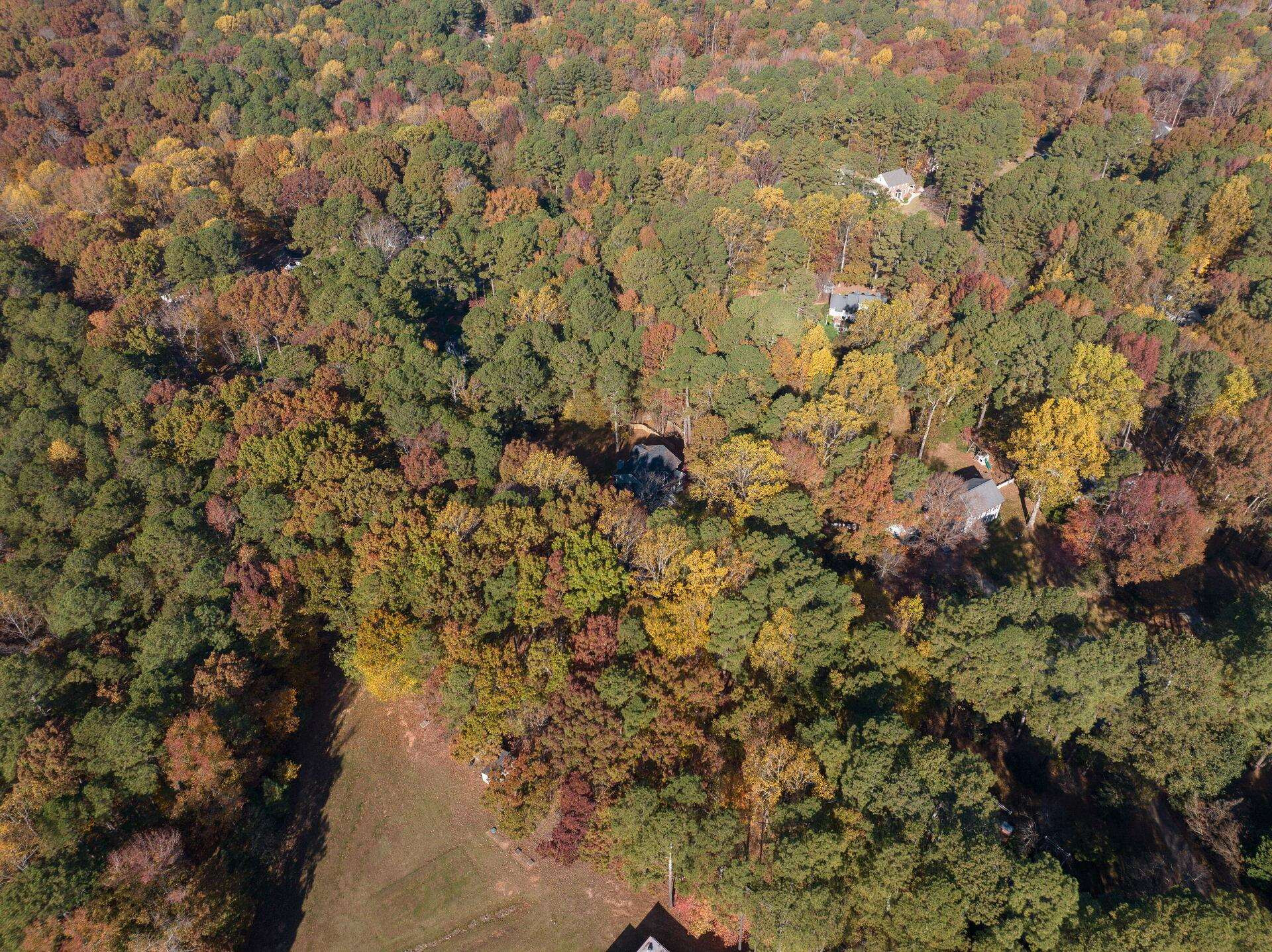 9801 Pine Meadow Lane