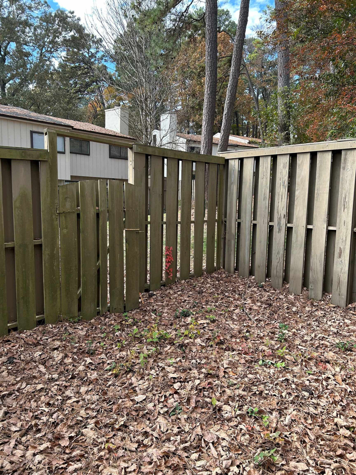 5021 Tall Pines Court Unit: 5021