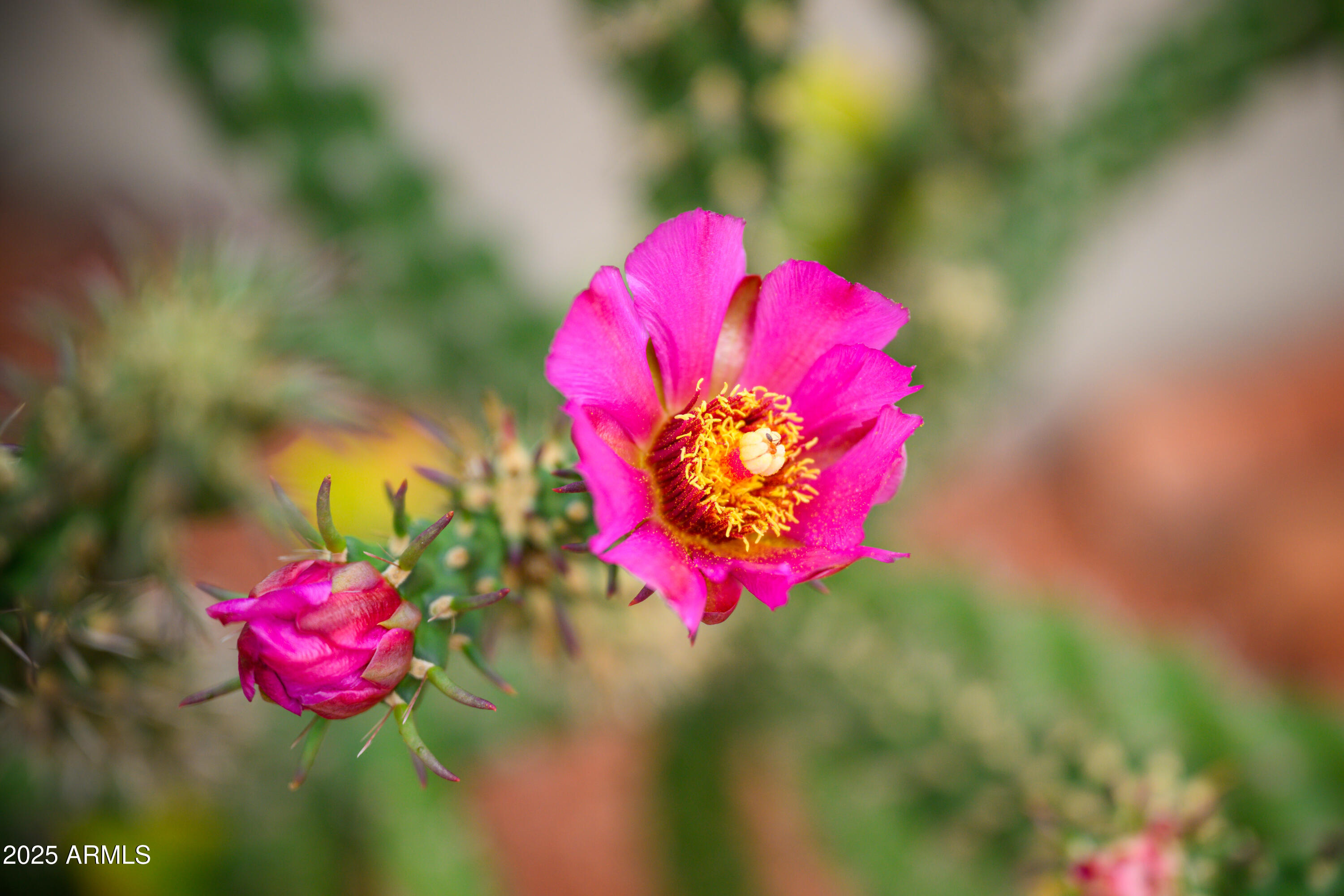 170 E BIGHORN Court, Sedona