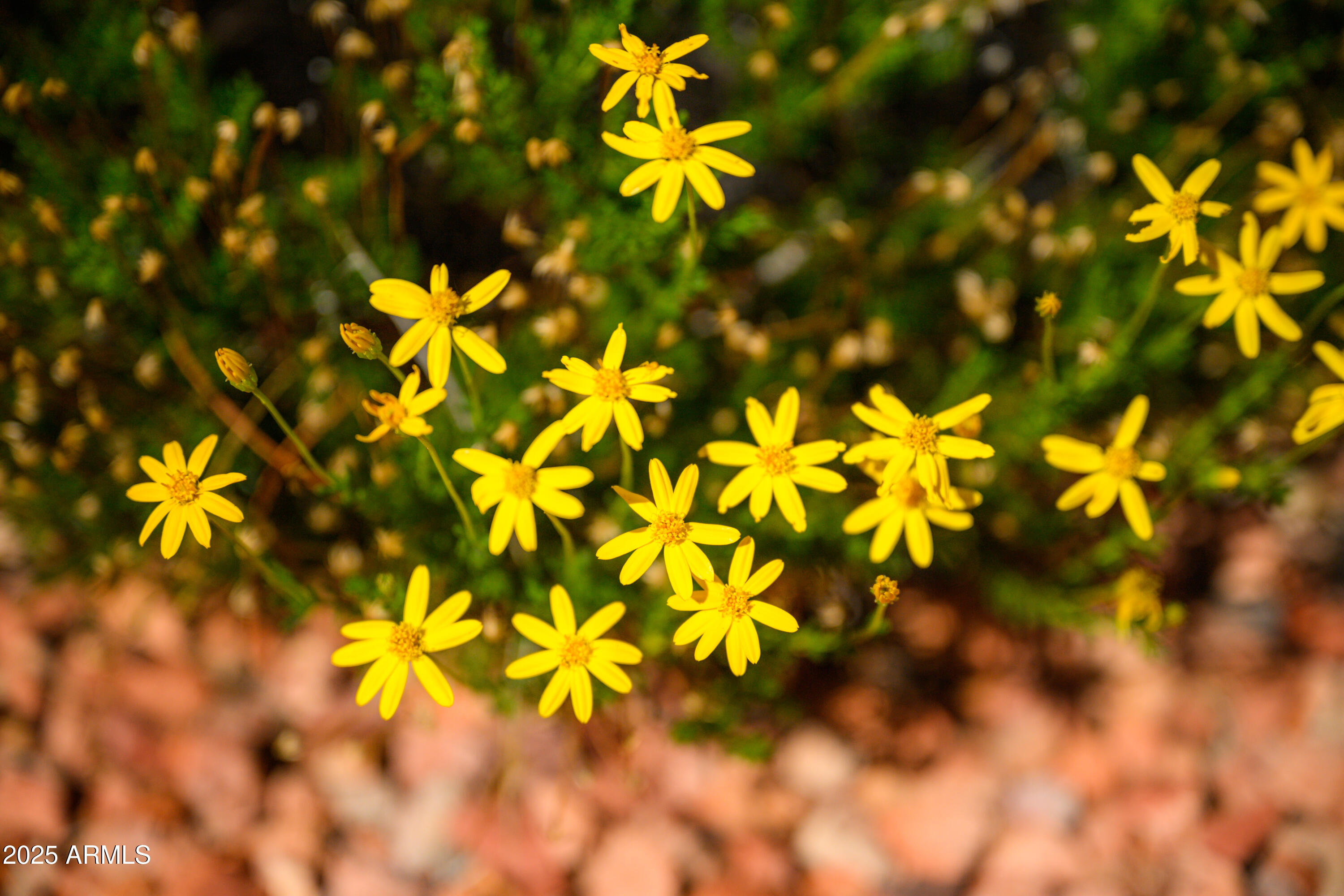 150 FAWN Drive, Sedona