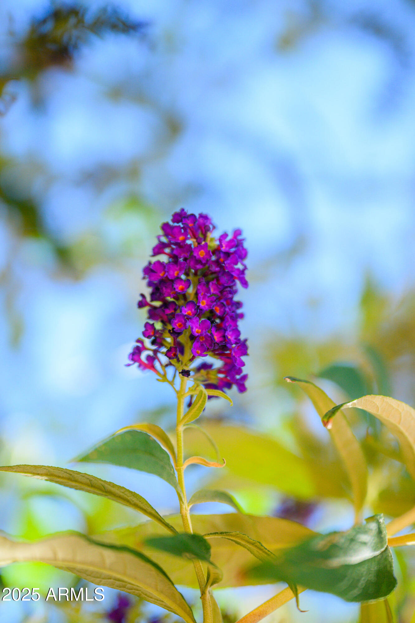 150 FAWN Drive, Sedona