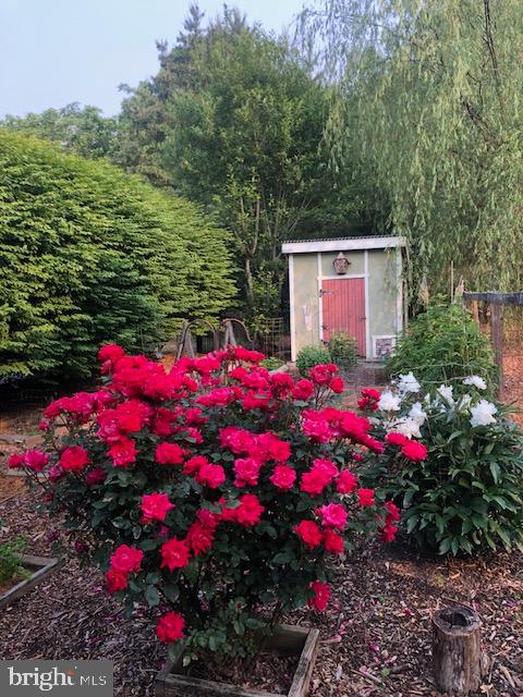 3900 Pricetown Rd