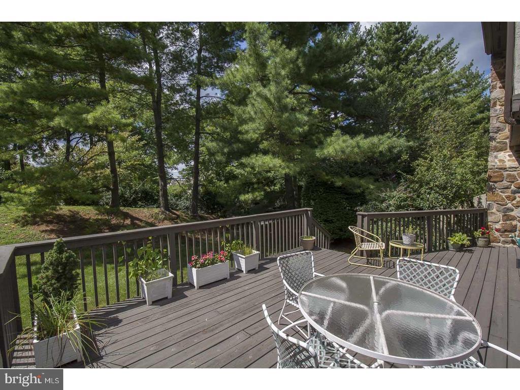206 SPRINGHOUSE POND